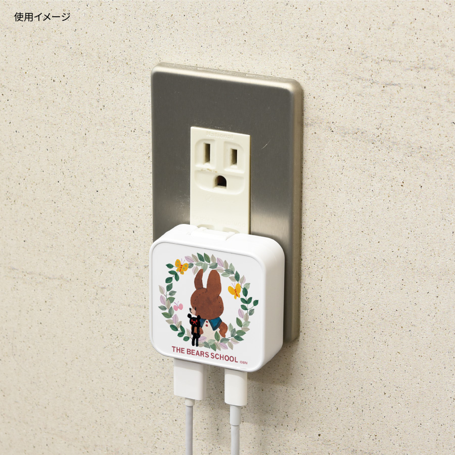 USB/USB Type-C ACアダプタ（リーフ）