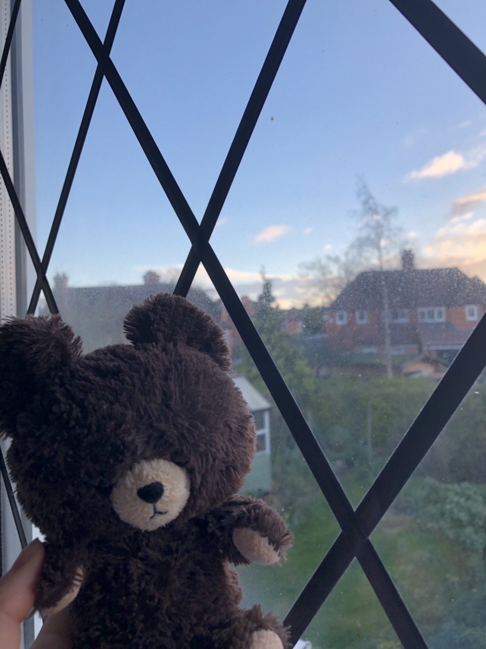 ジャッキーとの20年