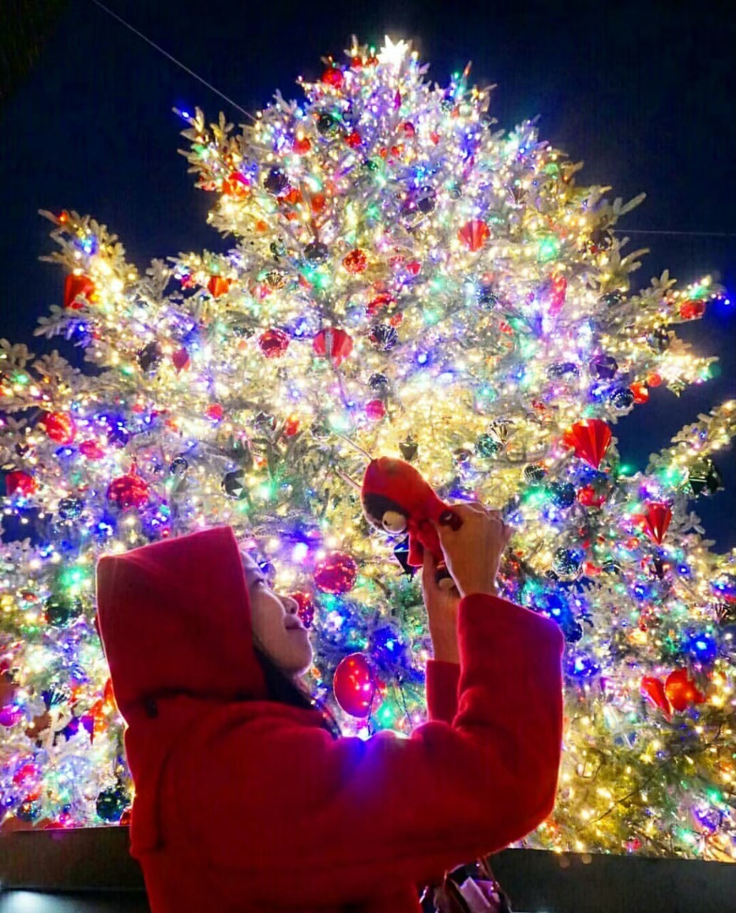 わたしジャッキー！