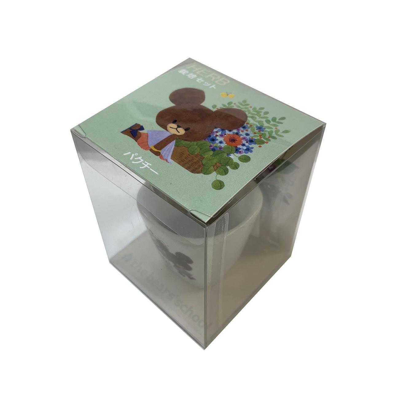 栽培セット　イタリアンパセリ