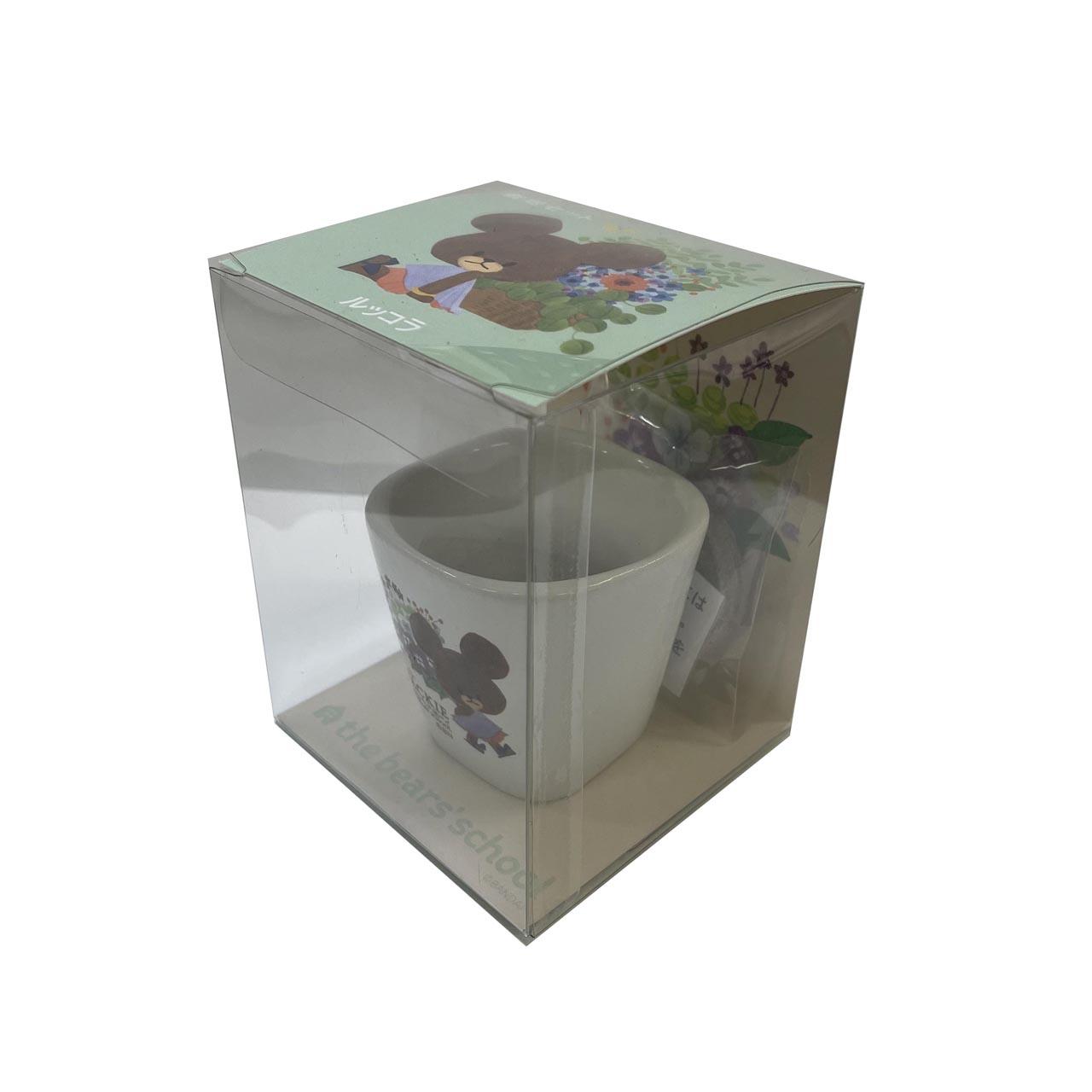 栽培セット　ルッコラ